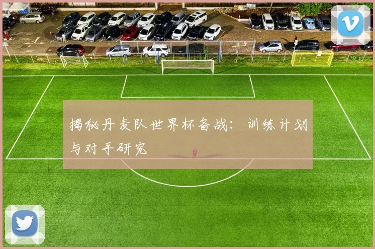 揭秘丹麦队世界杯备战:训练计划与对手研究