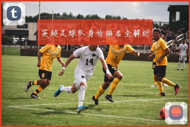 英超足球队身价排名全解析