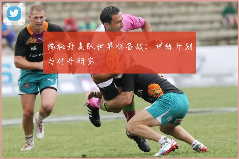 揭秘丹麦队世界杯备战：训练计划与对手研究